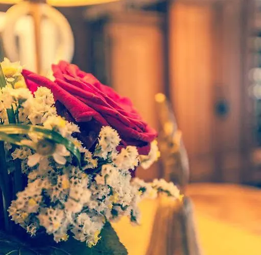 Sperlhof 3* Windischgarsten